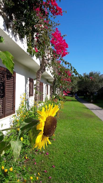 Nausicaa Village Sant'Andrea Apostolo dello Ionio Zewnętrze zdjęcie